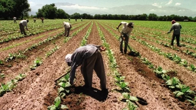 Energía y agua: el programa Pisear aprobó 9 proyectos por $110 millones