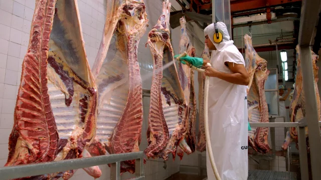 Carne: las alternativas que estudia el Gobierno para bajar el precio
