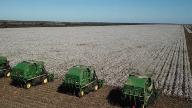 La empresa chaqueña Grupo Linke genera un importante movimiento económico en la provincia