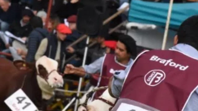 Por la situación sanitaria, se postergó la Exposición Nacional Braford 2021 desde Corrientes