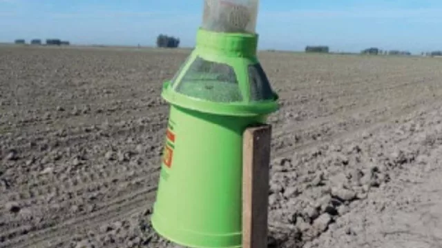 Nueva tecnología aplicada al monitoreo del picudo del algodonero