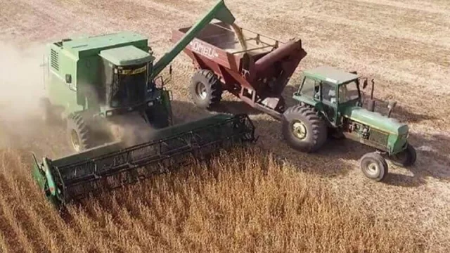 La soja alcanzará pérdidas de US$ 1.300 millones por deficiencia en la trilla 