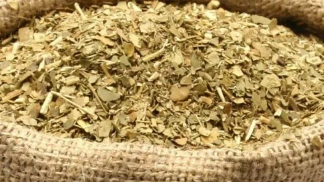 Un programa del INYM beneficiará a los pequeños molinos yerbateros 