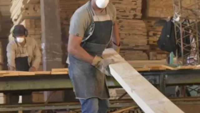 La madera por sus precios ya es considerada un nuevo bitcoin y registra una creciente demanda en el exterior