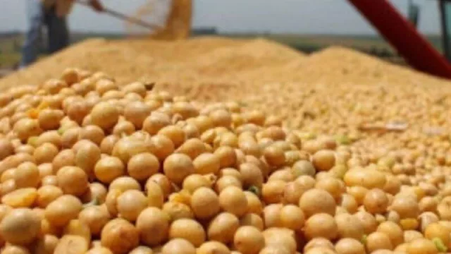 La soja alcanzó su precio más alto en siete años al superar en Chicago los US$ 540  