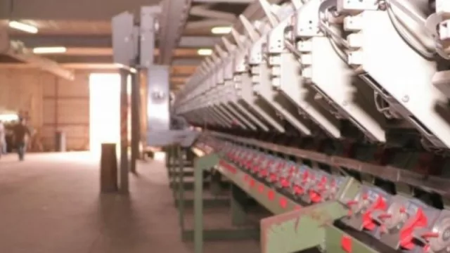 La cadena textil chaqueña se fortalece recuperando el liderazgo algodonero 