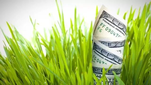 La producción de soja cae fuerte, pero ingresará un monto de dólares récord