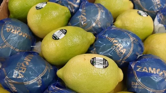 Una empresa tucumana logró exportar los primeros limones a China
