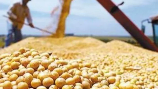 Solo las provincias de Corrientes, La Pampa y Santiago del Estero aumentaron sus exportaciones 