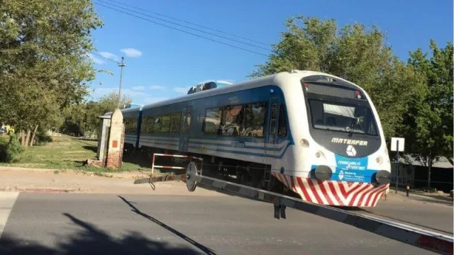 Si sos del Alto Valle, ahora vas a poder viajar en tren (el pasaje costará $ 22 con SUBE)