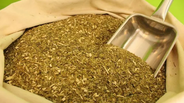 Se firmó importante acuerdo comercial para exportar yerba mate a la India
