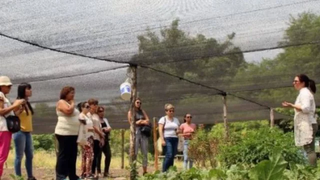 El camino que transitaron mujeres chaqueñas para generar espacios de igualdad