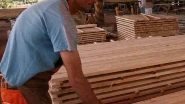 El Centro Tecnológico de la Madera y su aporte calificado a la industria misionera