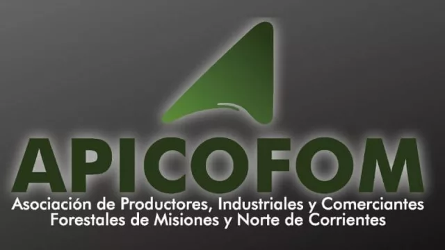 PyMEs madereras de Misiones pedirán a la Nación medidas para regular la exportación de rollos sin procesamiento