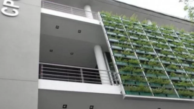 Juez federal rechazó cautelar planteada por contadores chaqueños contra Resolución de la AFIP