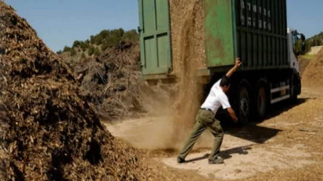 La ciudad misionera de Cerro Azul se apresta a inaugurar la primera planta de biomasa