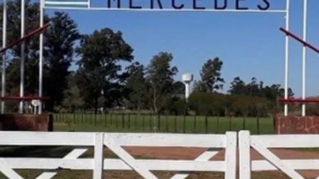 Los paquetes tecnológicos para que los campos de Corrientes mejoren los índices de la ganadería de cría