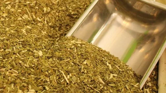 La Mesa Yerbatera de Corrientes acordó definir temas prioritarios para tartar en el encuentro de Gobernadores del Norte Grande