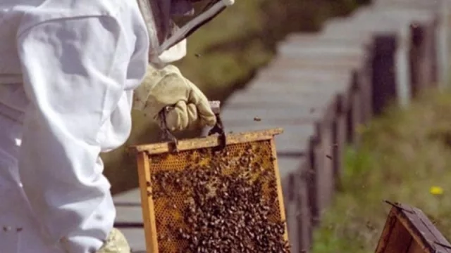 El Ministerio de Industria de Corrientes y DPEC coordinan acciones para optimizar el servicio eléctrico a proyectos productivos