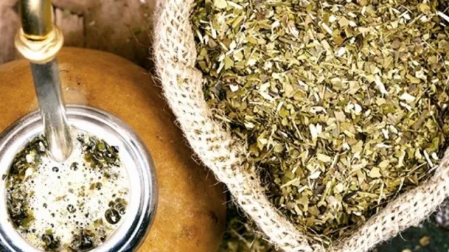 Pese a que Misiones es la mayor productora de yerba mate en el mundo, un kilo cuesta hasta $ 100 más que en Buenos Aires
