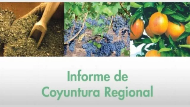 Informe de Coyuntura Regional NEA durante el año 2020 
