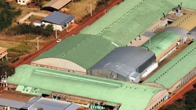 Dass, la nueva distribuidora exclusiva de Asics en Argentina (suma nueva línea a su fábrica en Misiones)