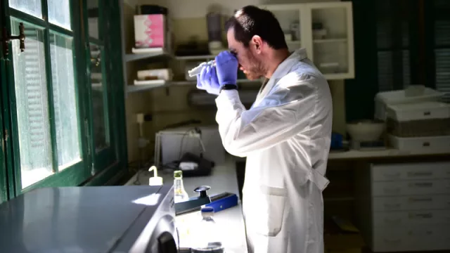 La potencialidad de Córdoba en la Economía del Conocimiento