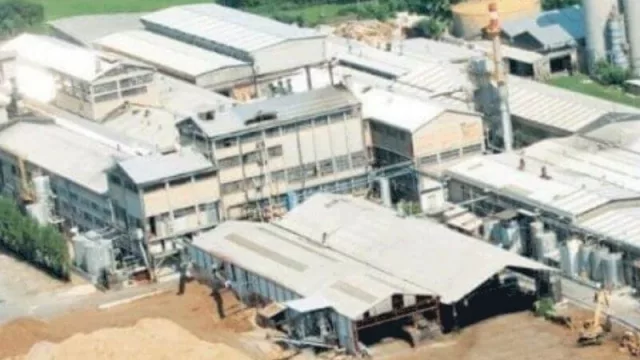 Chaco avanza en generación de energía limpia: el presidente y el gobernador inauguraron dos plantas de biomasa