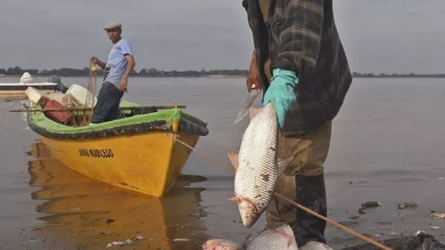 La bajante del Paraná afecta los ecosistemas del Litoral y podría extenderse hasta marzo