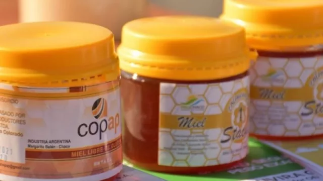 Ciclo sobre Experiencia de Certificación Orgánica de la miel en la Provincia del Chaco