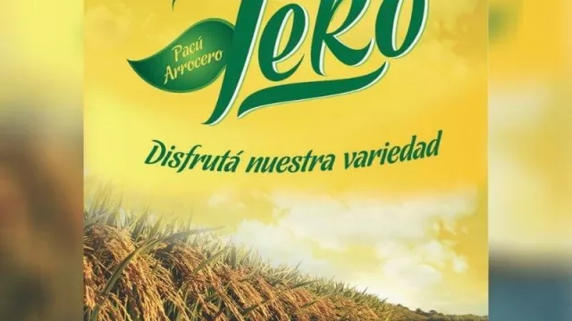 El proyecto de pacú arrocero como ejemplo sustentable para la generación de empleos formales en la piscicultura y la agricultura chaqueña