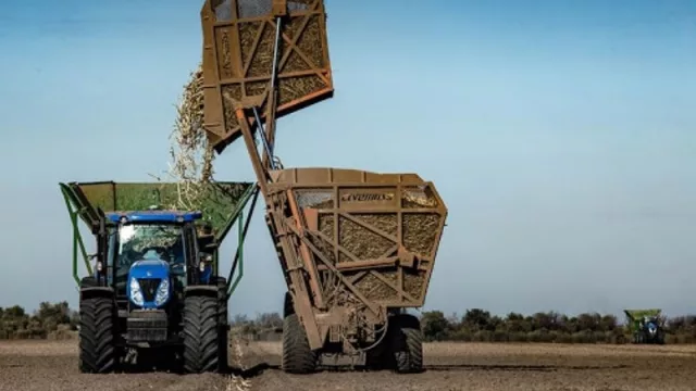 ¿Orgánica o tradicional? el dilema que cobra fuerza en la industria azucarera