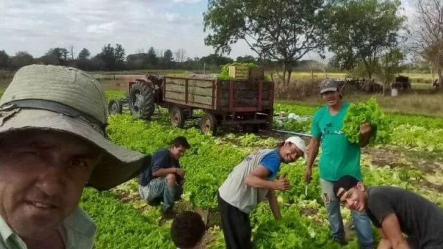 El total del presupuesto del Instituto de Desarrollo Rural y Agricultura Familiar será en beneficio de los productores