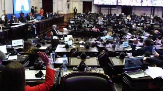 Diputados aprobó el artículo que propuso Misiones para el presupuesto 2021 y que permite la creación de áreas aduaneras especiales