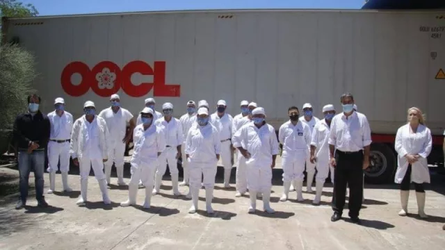 Chaco consolida un nuevo mercado con el segundo envío de más de 25 toneladas de carne caprina a Sri Lanka