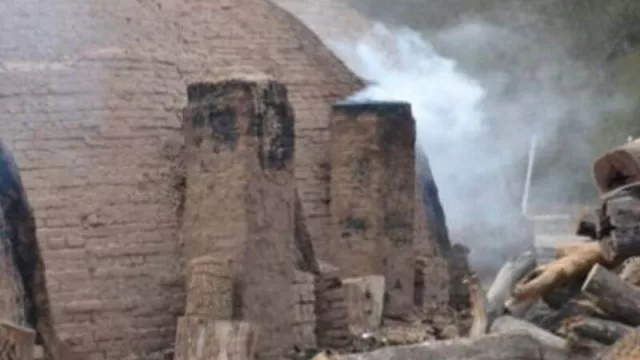 Chaco es la principal provincia productora y exportadora de carbón de Argentina