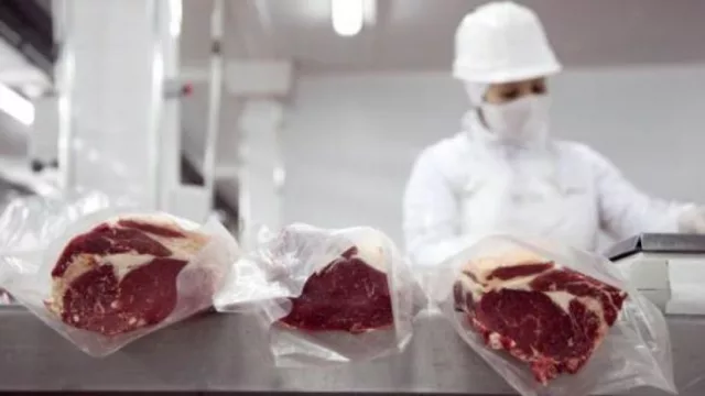 Analizan baja de retenciones para las exportaciones de carne vacuna y lácteos