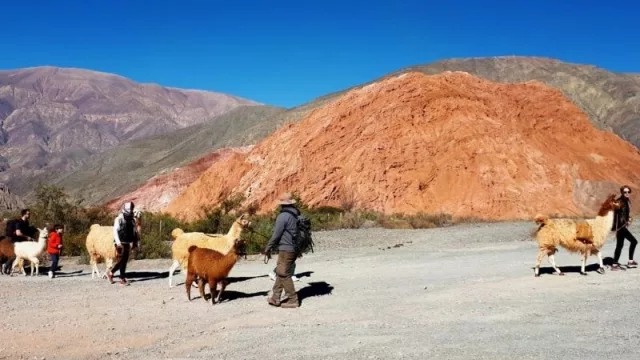 Turismo y Desarrollo Rural: presentaron las actividades por la semana del turismo