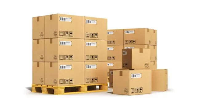 Avanza la “Plataforma Logística” de transporte y carga en Neuquén 