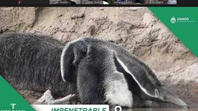 La Provincia del Chaco presentó su oferta Turística en el evento nacional “Ampliar Destinos”