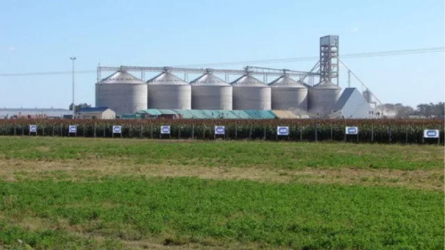 La Aceitera General Daheza (AGD) ubicada en la localidad de Charata suma el servicio de agricultura de precisión