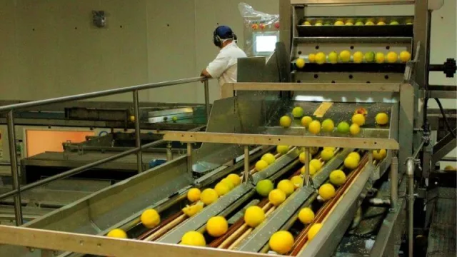 Buscan mejorar el perfil exportador de las empresas alimenticias de la provincia de Misiones