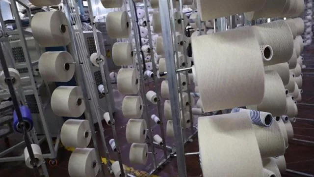 La firma TN&Platex, con base en el sur correntino, invertirá más de US$ 30 millones en equipamiento