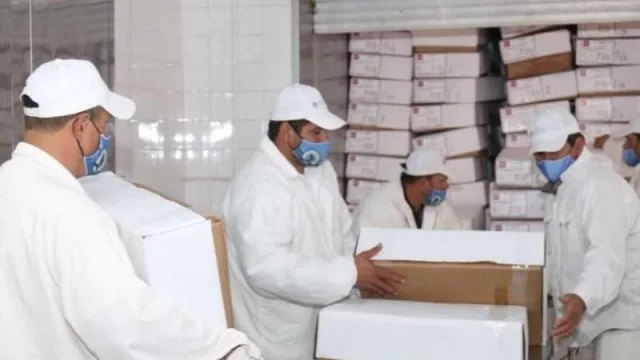 De Chaco al mundo, ya está rumbo a Bahamas primer embarque de 22 toneladas de cortes caprinos