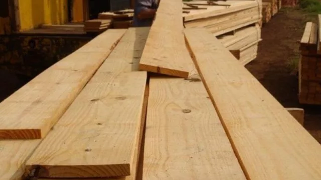 Se reunió la mesa forestal temática misionera para debatir sobre la presión fiscal en el sector