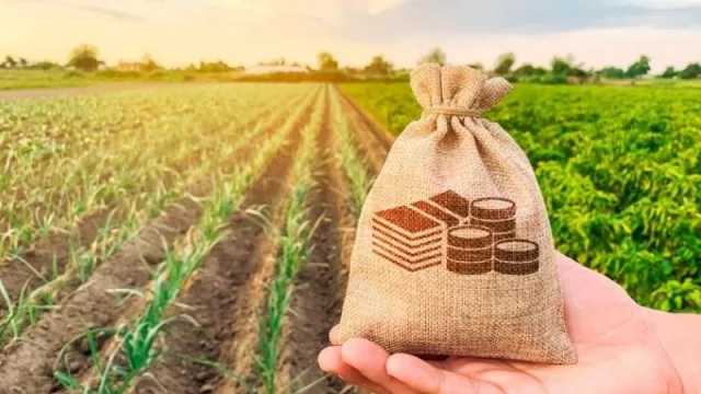 Parar la pelota y anticipar la jugada: los desafíos que tienen las empresas en el Agro 