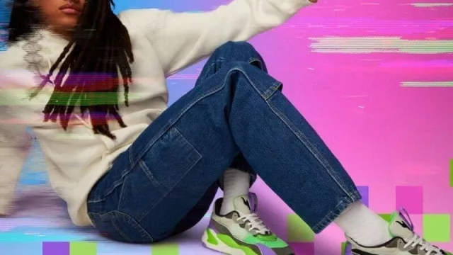 Puma navega a través de internet explorer con RS-2K