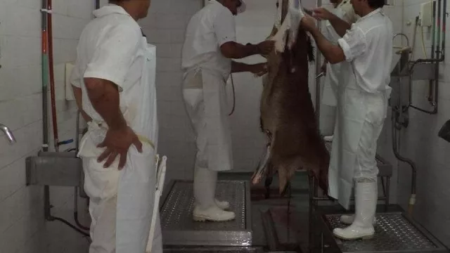 La Provincia del Chaco exportará más de 20 toneladas de cortes caprinos a Bahamas