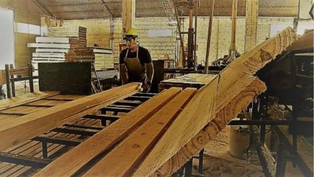 En la Provincia de Misiones, piden profesionalizar la actividad forestoindustrial