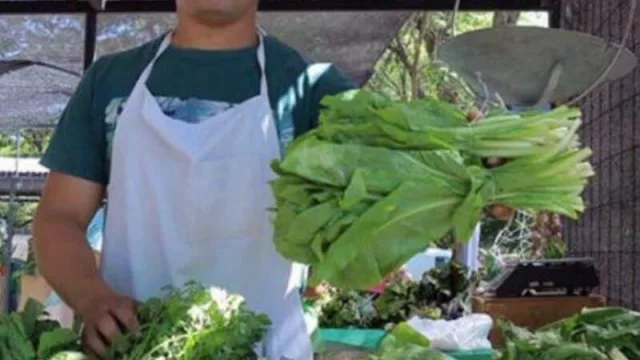 Chaco será la primera provincia en sumarse al Registro Nacional de Trabajadores de la Economía Popular